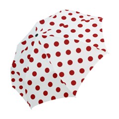 Folding Umbrella 