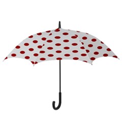 Hook Handle Umbrella (Large) 