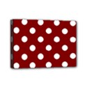 Mini Canvas 7  x 5  (Stretched) 