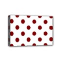 Mini Canvas 6  x 4  (Stretched) 