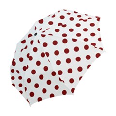 Folding Umbrella 