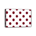 Mini Canvas 6  x 4  (Stretched) 