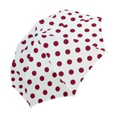 Folding Umbrella 