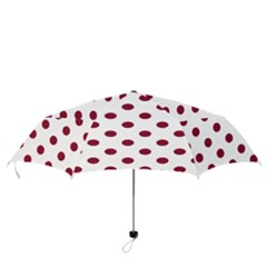 Folding Umbrella 