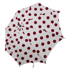 Hook Handle Umbrella (Medium) 