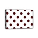 Mini Canvas 6  x 4  (Stretched) 