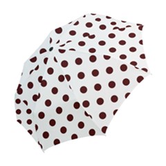 Folding Umbrella 