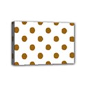 Mini Canvas 6  x 4  (Stretched) 