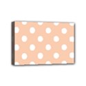 Mini Canvas 6  x 4  (Stretched) 