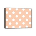 Mini Canvas 7  x 5  (Stretched) 