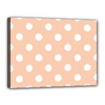 Polka Dots - White on Apricot Orange Canvas 16  x 12  (Stretched)
