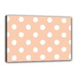 Polka Dots - White on Apricot Orange Canvas 18  x 12  (Stretched)