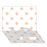 Polka Dots - Apricot Orange on White LOVE Bottom 3D Greeting Card (7x5)