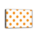 Mini Canvas 6  x 4  (Stretched) 