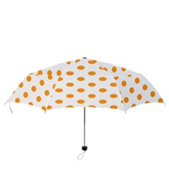 Folding Umbrella 