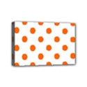 Mini Canvas 6  x 4  (Stretched) 