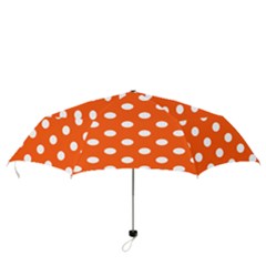 Folding Umbrella 