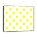 Deluxe Canvas 20  x 16  (Stretched) 