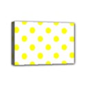 Mini Canvas 6  x 4  (Stretched) 