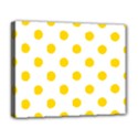 Deluxe Canvas 20  x 16  (Stretched) 
