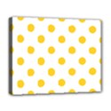 Deluxe Canvas 20  x 16  (Stretched) 