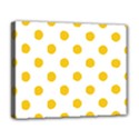 Deluxe Canvas 20  x 16  (Stretched) 