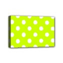 Mini Canvas 6  x 4  (Stretched) 