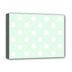 Polka Dots - White on Pale Green Deluxe Canvas 16  x 12  (Stretched)