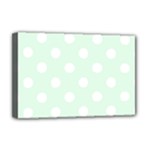Polka Dots - White on Pale Green Deluxe Canvas 18  x 12  (Stretched)