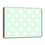 Polka Dots - White on Pale Green Canvas 16  x 12  (Stretched)