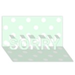Polka Dots - White on Pale Green SORRY 3D Greeting Card (8x4)