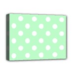 Polka Dots - White on Mint Green Deluxe Canvas 16  x 12  (Stretched)