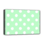 Polka Dots - White on Mint Green Deluxe Canvas 18  x 12  (Stretched)