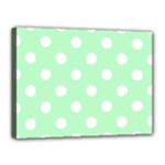 Polka Dots - White on Mint Green Canvas 16  x 12  (Stretched)