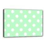 Polka Dots - White on Mint Green Canvas 18  x 12  (Stretched)