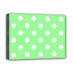 Polka Dots - White on Light Green Deluxe Canvas 16  x 12  (Stretched)
