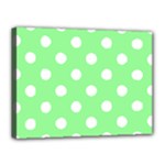 Polka Dots - White on Light Green Canvas 16  x 12  (Stretched)