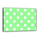 Polka Dots - White on Light Green Canvas 18  x 12  (Stretched)