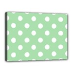 Polka Dots - White on Celadon Green Canvas 16  x 12  (Stretched)