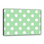 Polka Dots - White on Celadon Green Canvas 18  x 12  (Stretched)