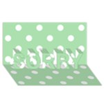 Polka Dots - White on Celadon Green SORRY 3D Greeting Card (8x4)