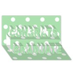 Polka Dots - White on Celadon Green Congrats Graduate 3D Greeting Card (8x4)