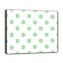 Deluxe Canvas 20  x 16  (Stretched) 