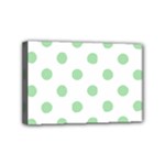 Polka Dots - Celadon Green on White Mini Canvas 6  x 4  (Stretched)