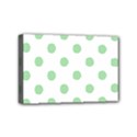 Mini Canvas 6  x 4  (Stretched) 