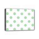 Mini Canvas 7  x 5  (Stretched) 