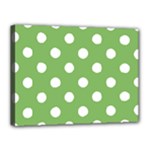 Polka Dots - White on Dollar Bill Green Canvas 16  x 12  (Stretched)