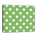 Polka Dots - White on Dollar Bill Green Canvas 20  x 16  (Stretched)
