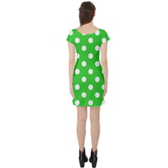 Short Sleeve Skater Dress Back