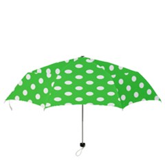 Folding Umbrella 